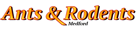 Medford Ant Exterminator & Rodent Control Company Logo